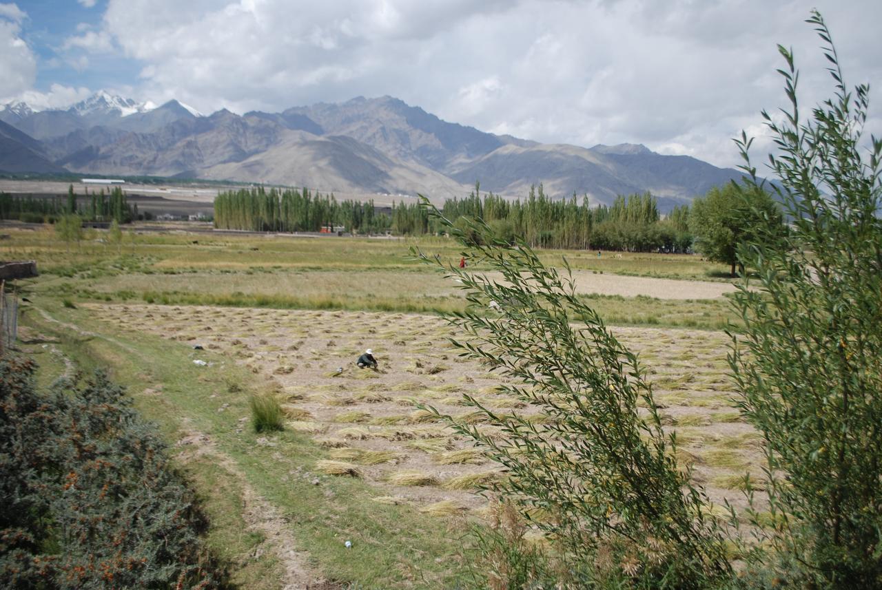 Ratna Hotel Ladakh Leh Eksteriør bilde